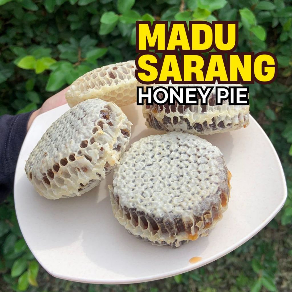 

Madu Sarang Lebah Melifera HONEY PIE / PREMIUM QUALITY HONEYCOMB CLB