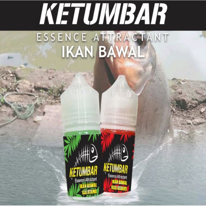 Essen Ketumbar ikan bawal galatama paling ampuh / Essen galatama bawal paling gacor / Essen oplosan 