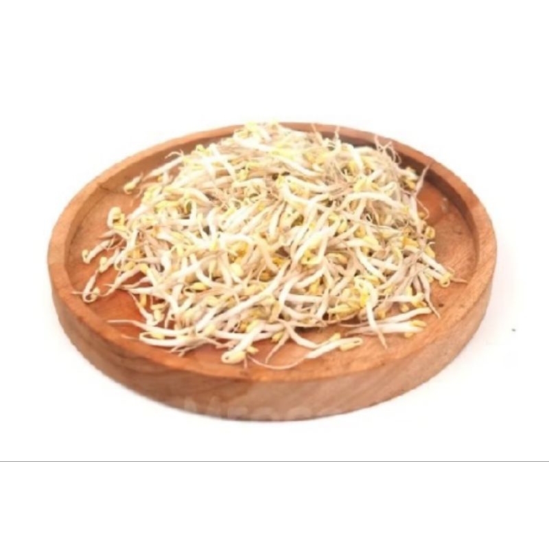 

Kecambah/ Touge 1 bungkus (125gr)