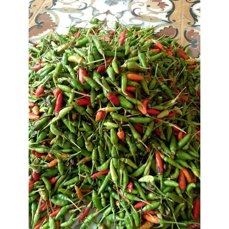 

cabe rawit ijo Per kilogram