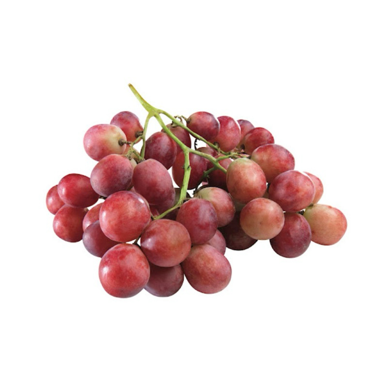 

Anggur Red Globe Impor 1 kg - Buah Fresh & Bergizi Kualitas Premium KHUSUS INSTANT/SAMEDAY