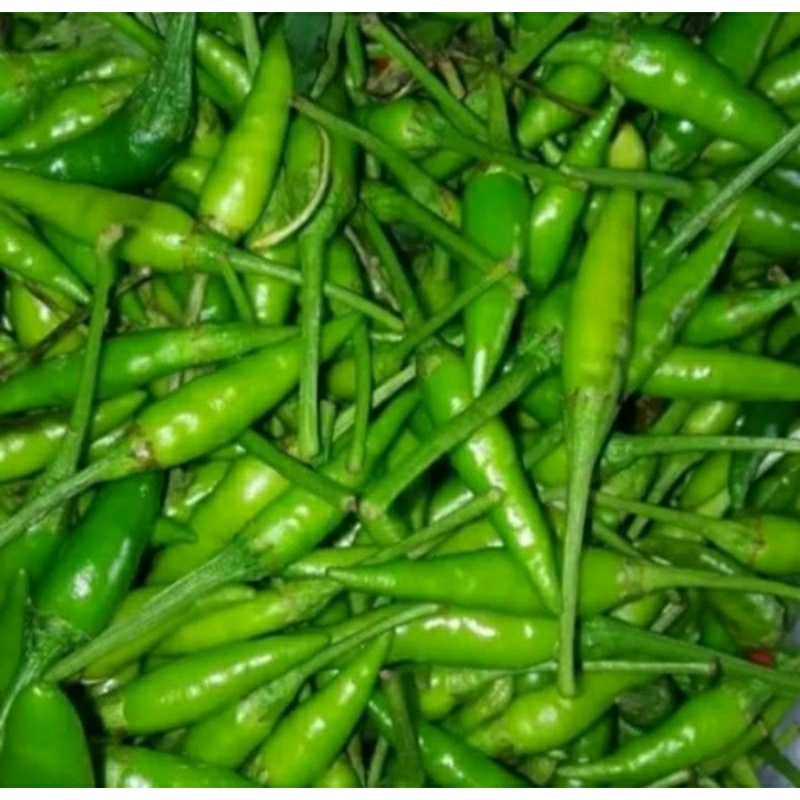 

cabe rawit
