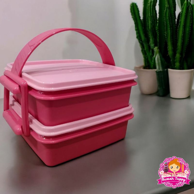 Wadah Tempat Makanan Rantang 2 Susun Small Carry All Set Tupperware Tuppy Murah