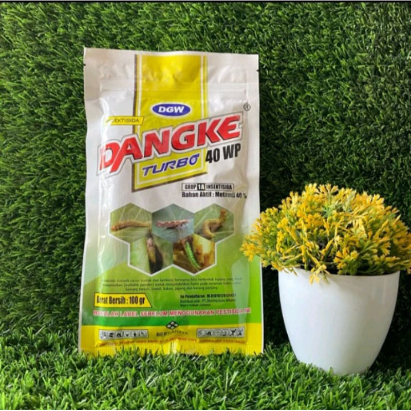 Dangke 100gram