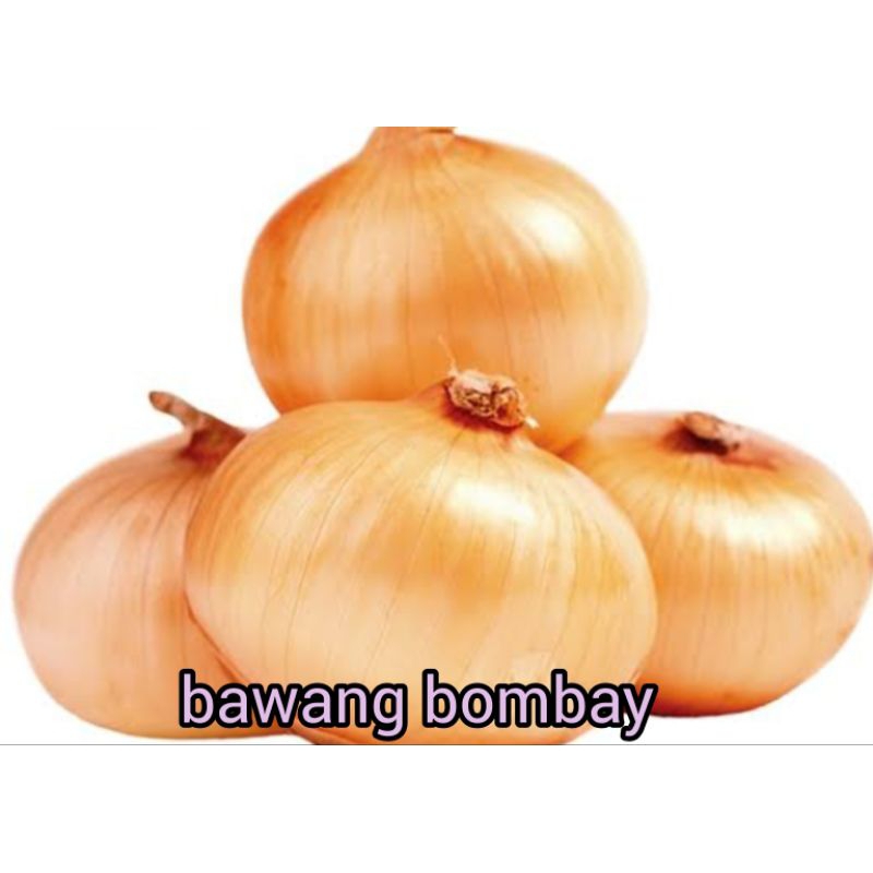 

BAWANG BOMBAY SUPER RP 22.000 / KG