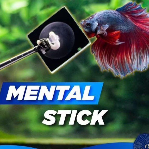 Stik Mental Cupang Kaca Stick Menthal Cupang Melatih Ikan Cupang