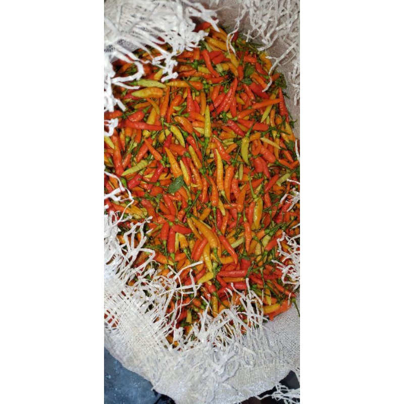 

LOMBOK CABE 1 KG