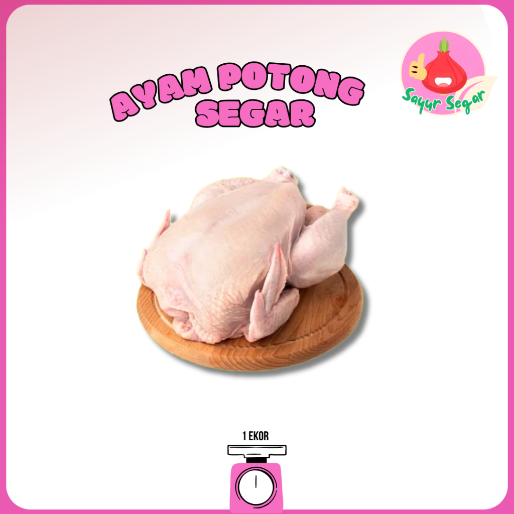 

Sayur Segar - Ayam Potong Segar 1 Ekor / Whole Chicken