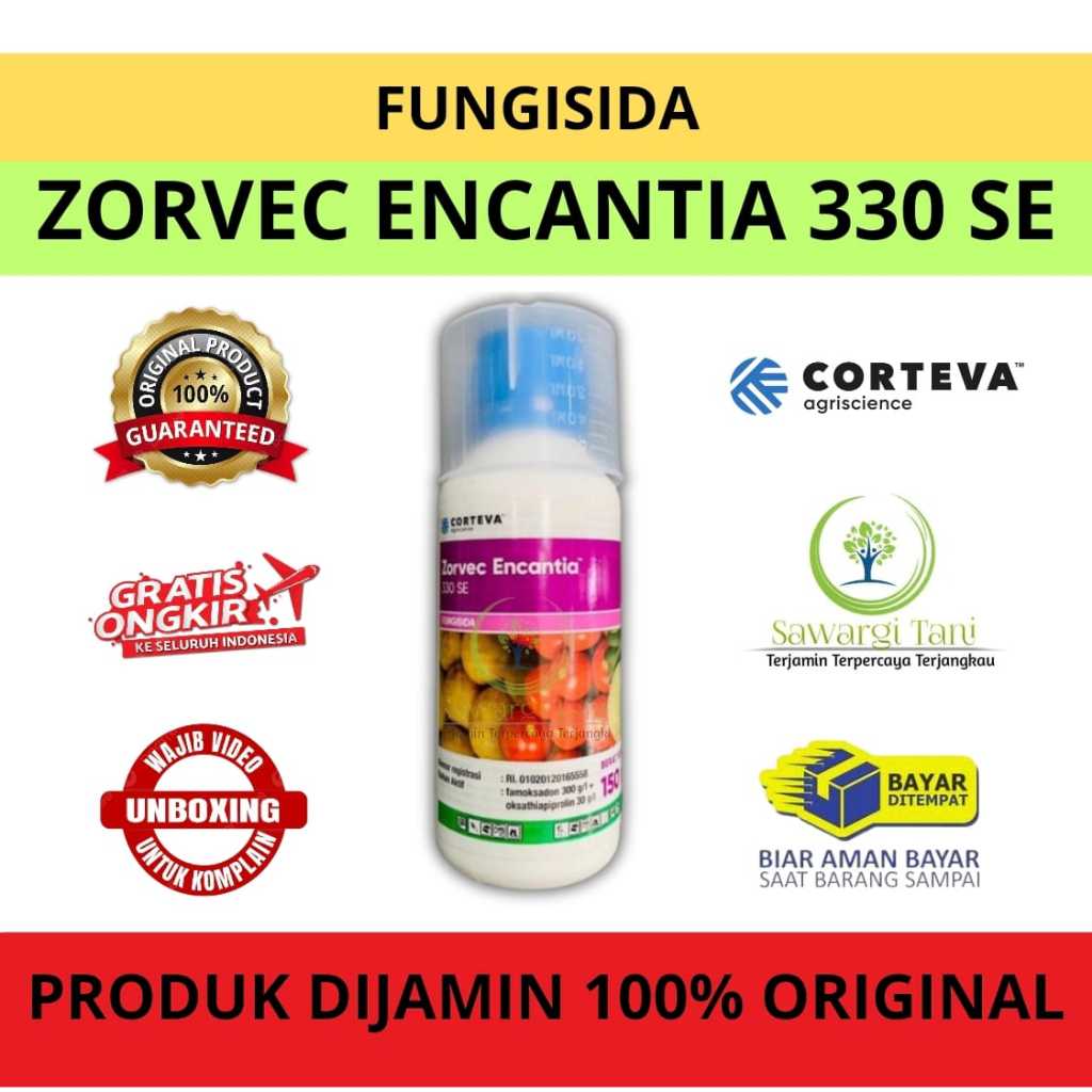 Zorvec Ecantia