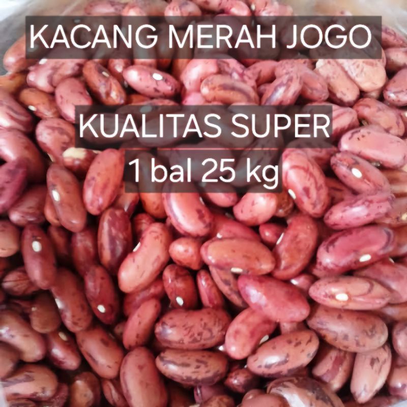 

kacang merah jogo kualitas super 1 bal 25kg
