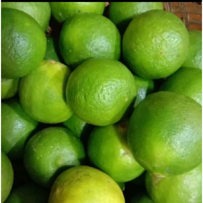 

Jeruk nipis 1 pcs