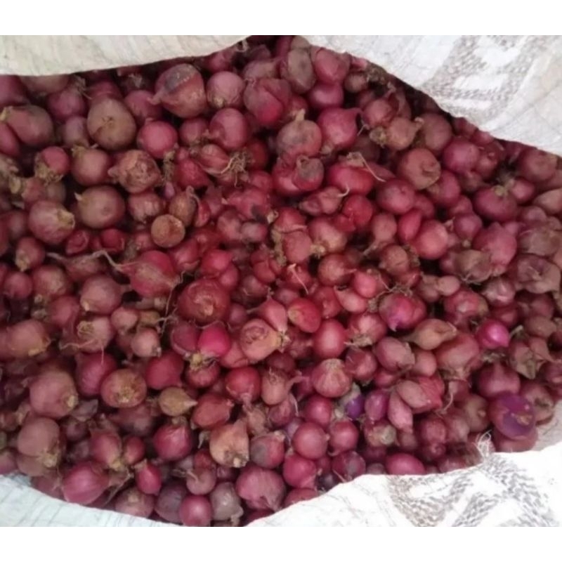 

Bawang Merah 1Kg