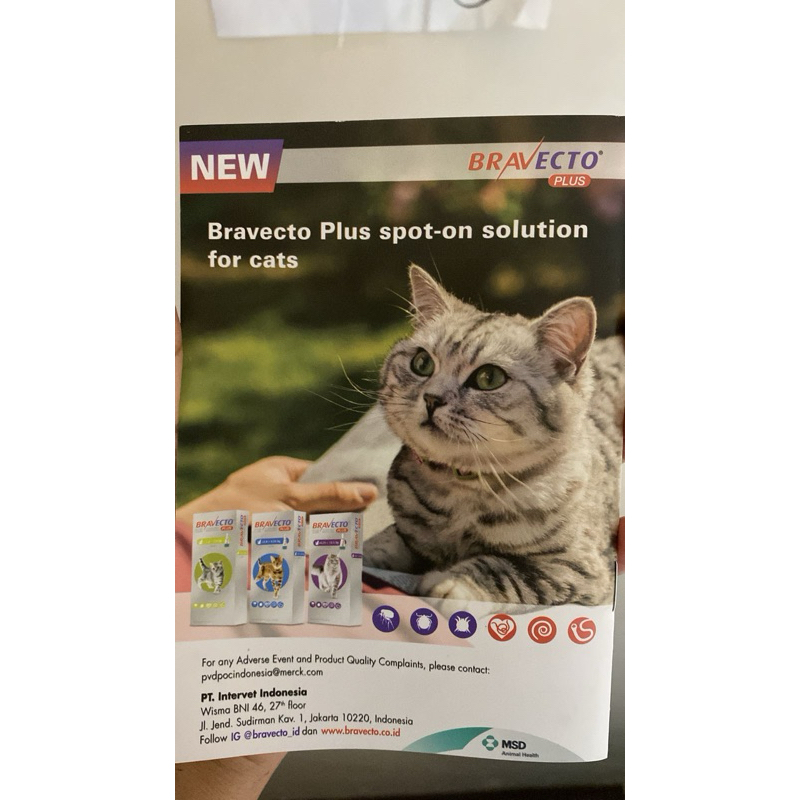 buku vaksin kucing