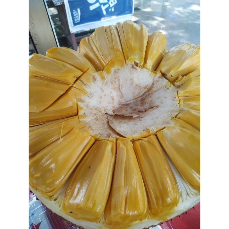 

Nangka kupas fresh 1kg