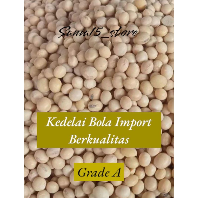 1 KG KACANG KEDELAI BOLA IMPORT USA NO 1 - KEDELAI TEMPE - KEDELAI SUSU