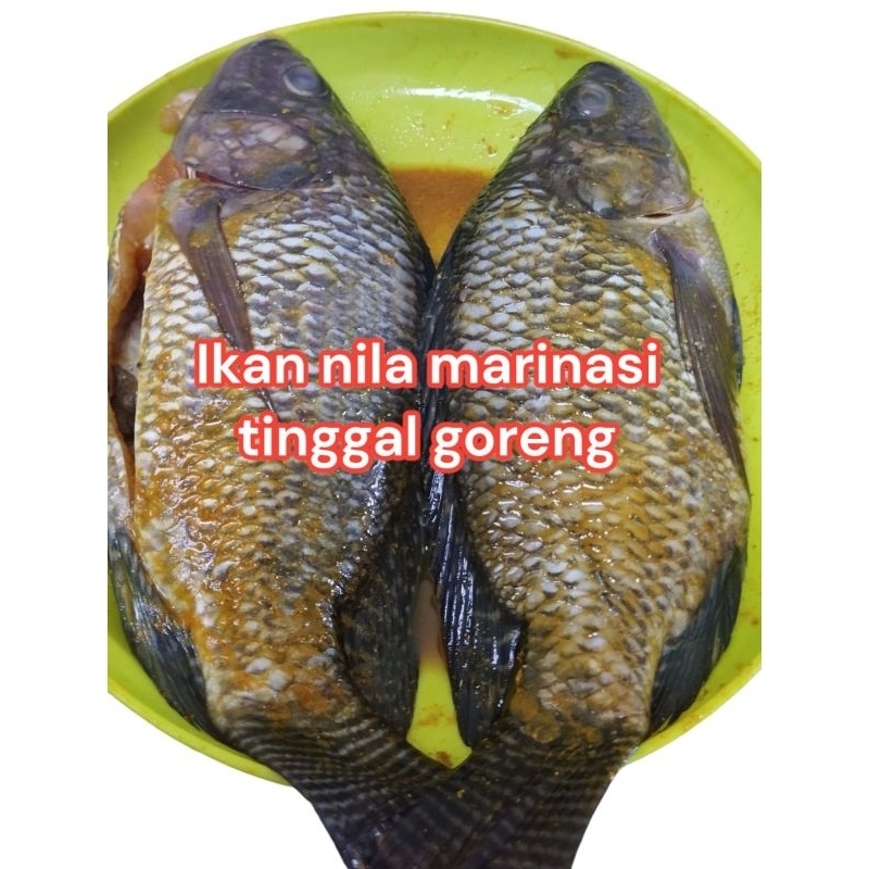 

ikan Nila marinasi tinggal goreng 1 kg isi 4-6 ekor