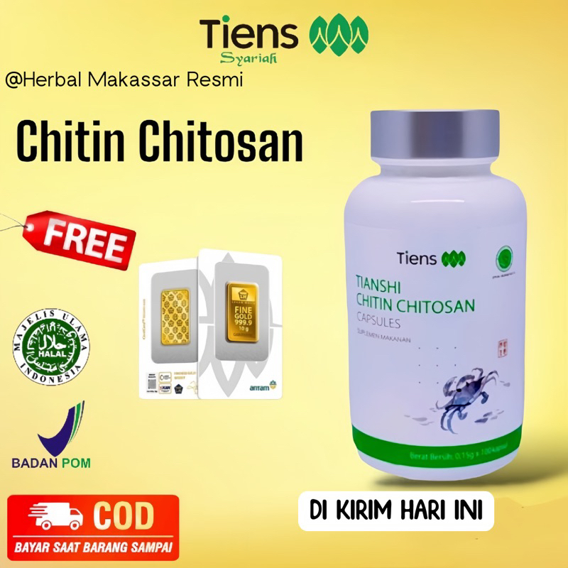 CHITIN CHITOSAN | MAAG | CHITOSAN OBAT CINA