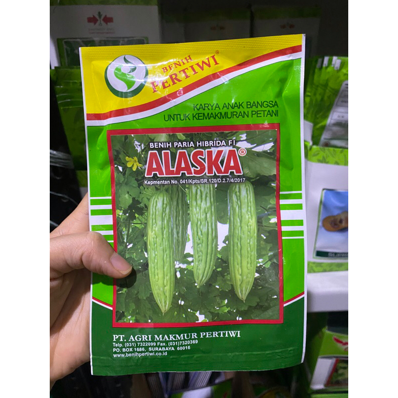 Benih paria ALASKA F1 10 gram pare hibrida pare alaska alaska dari benih pertiwi Kemasan Pabrik Orig