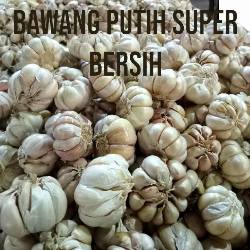 

Bawang Putih Super Bersih 500 gram (1/2 kg)