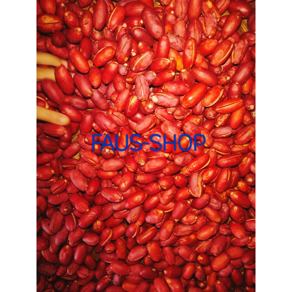 

KULIT MELINJO SAYUR KAMPUNG MASIH FRESH 1 KG