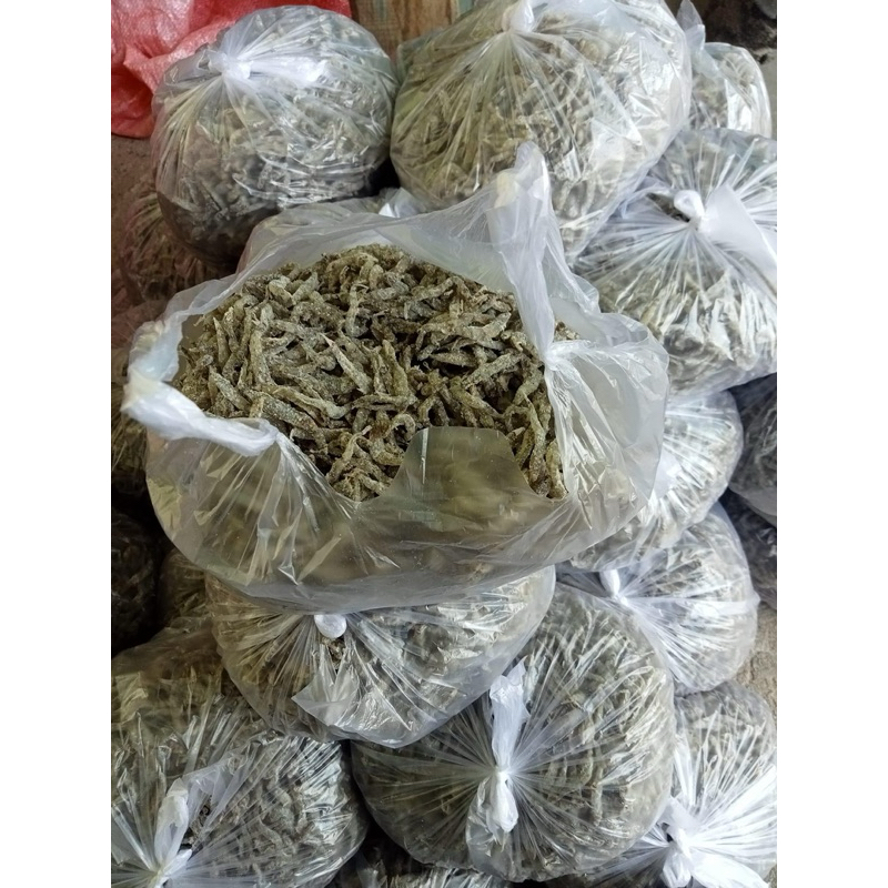 

ikan penja sulawesi barat