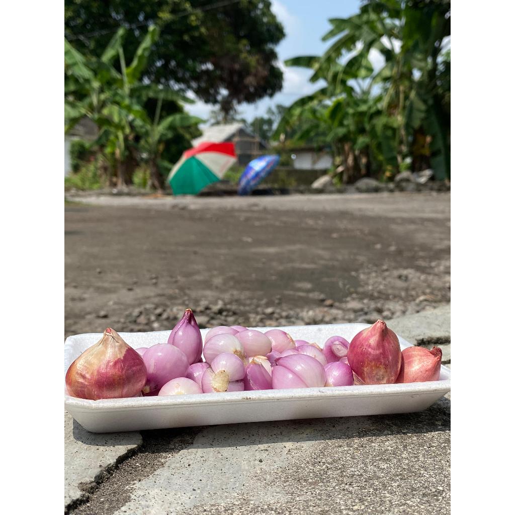 

Bawang Merah Kering Kupas Siap Masak