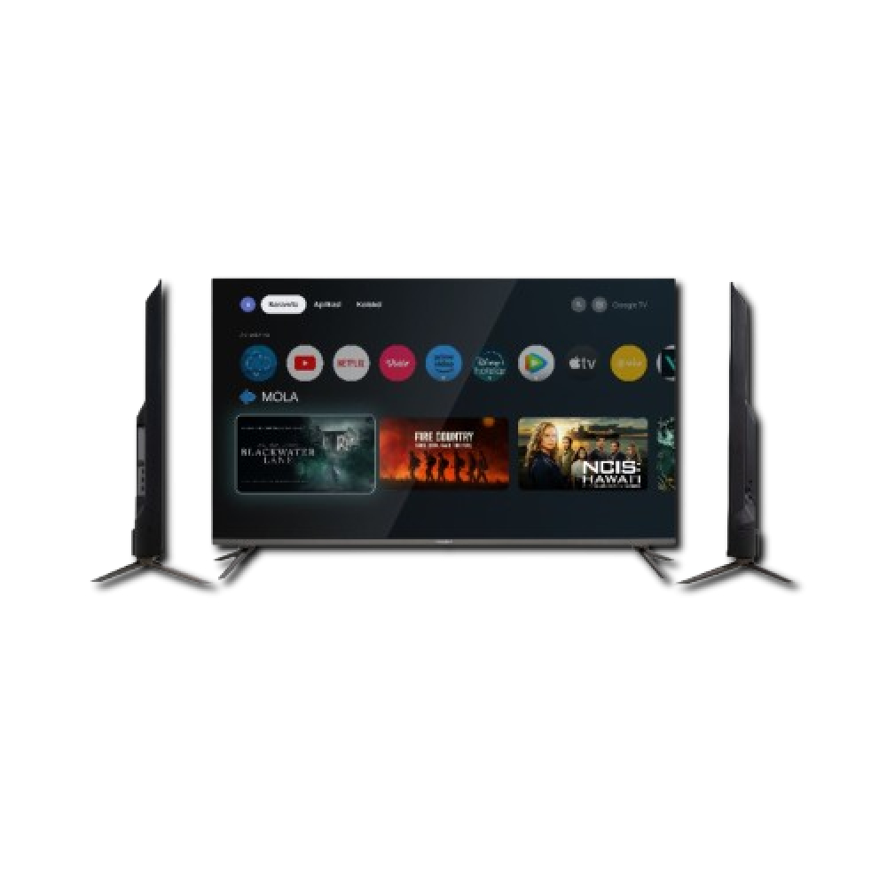 Polytron 50 Inch Smart Google EQLED TV 4K UHD PLD50QG9059