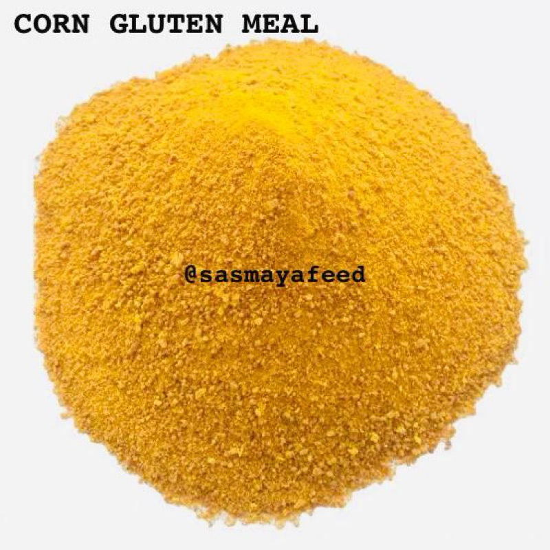 CGM / Corn Gluten Meal / Bahan Baku Pakan Ternak / Kemasan 1 Kg