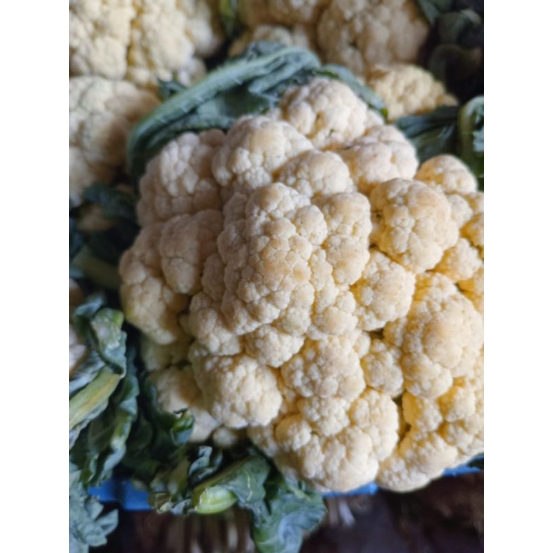 

kembang kol 250 gr.