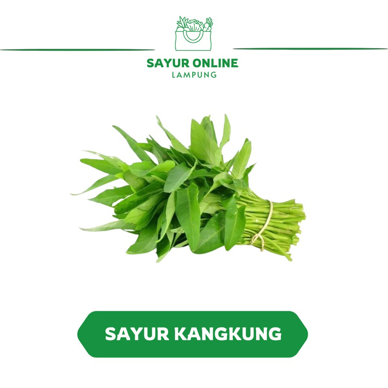 

Sayur Kangkung 1 Ikat -Sayur Online Lampung