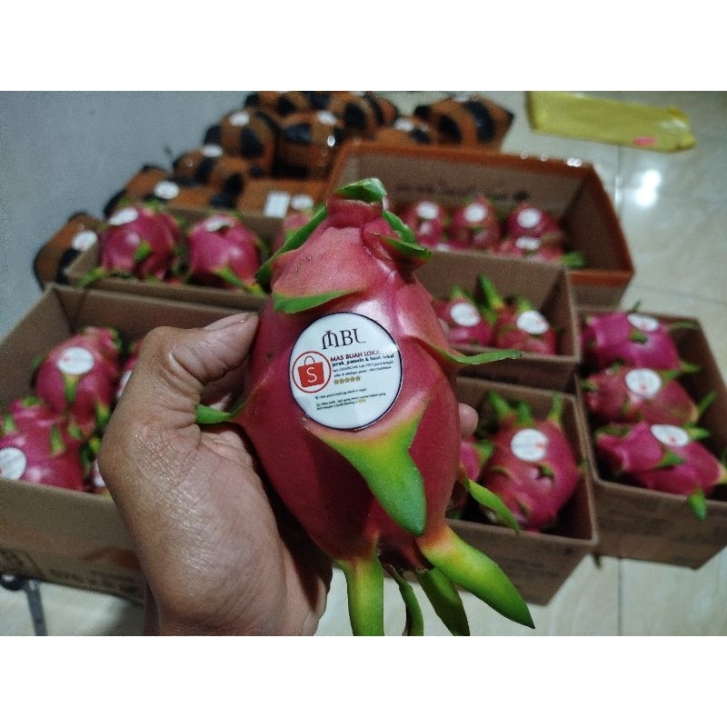 

buah naga putih (manis) berat 1kg