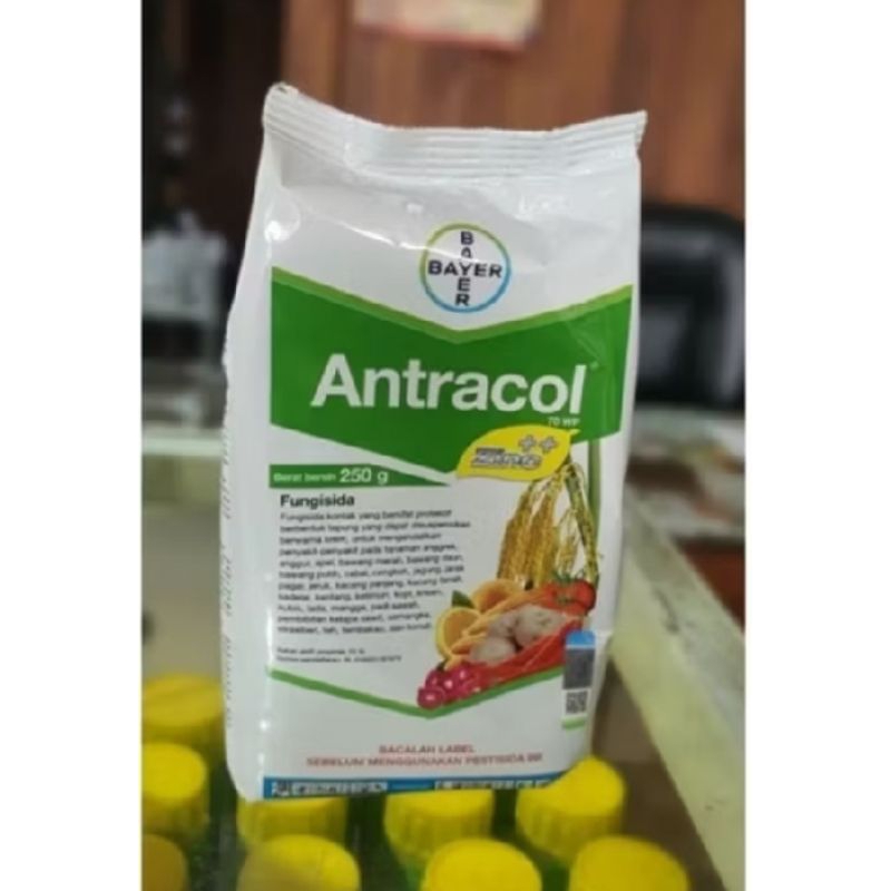 antracol 250gram