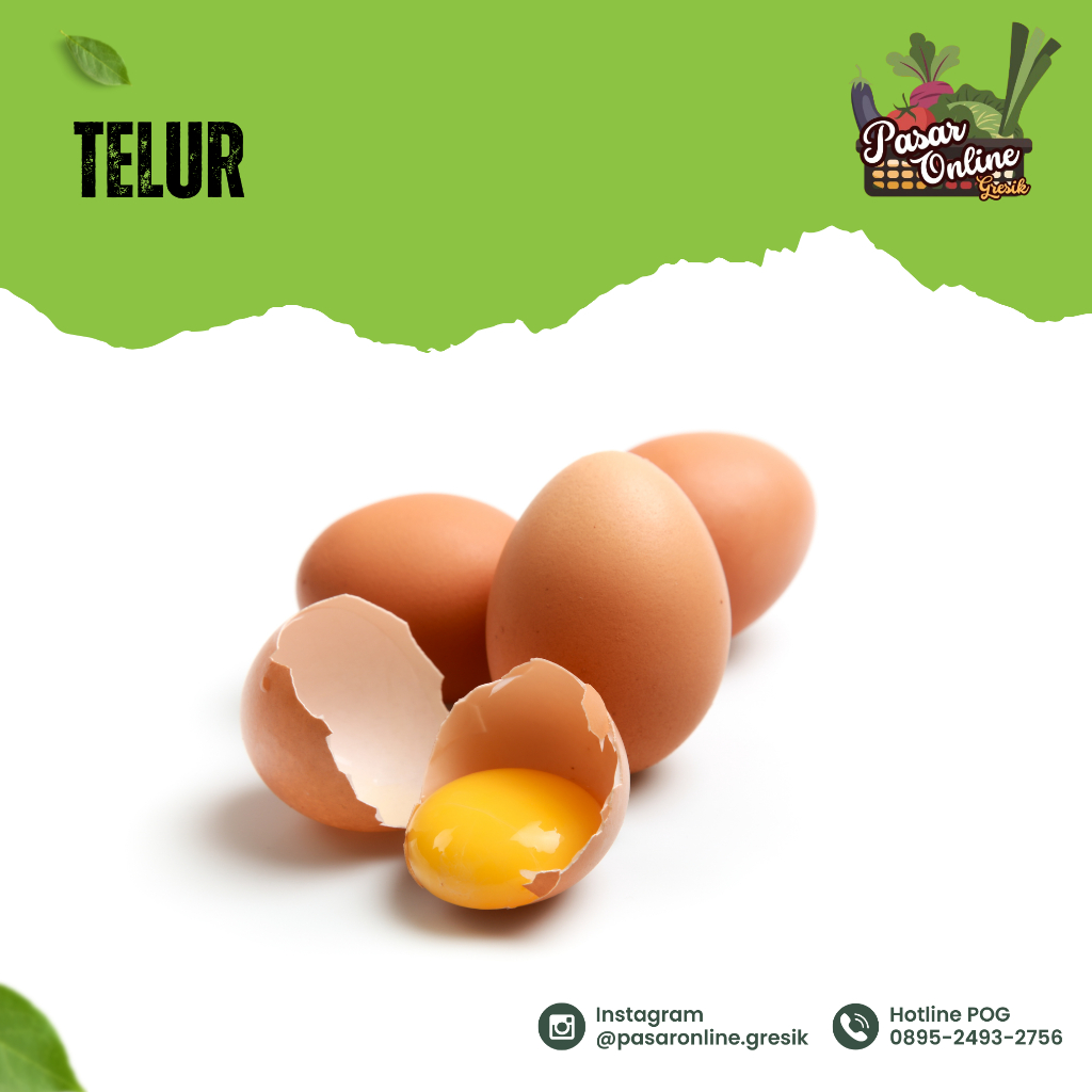 

TELUR AYAM