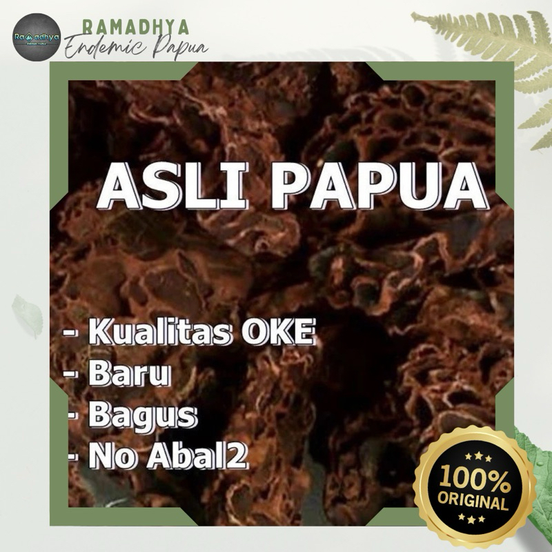 Sarang Semut Asli Papua Original 100% Sarang Semut Asli/oleh oleh papua Obat herbal Sarang Semut Pap