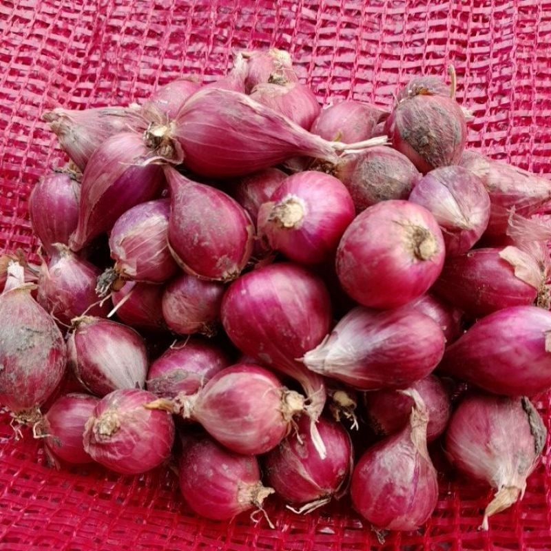 

bawang merah campur kecil dan sedeng 1kg