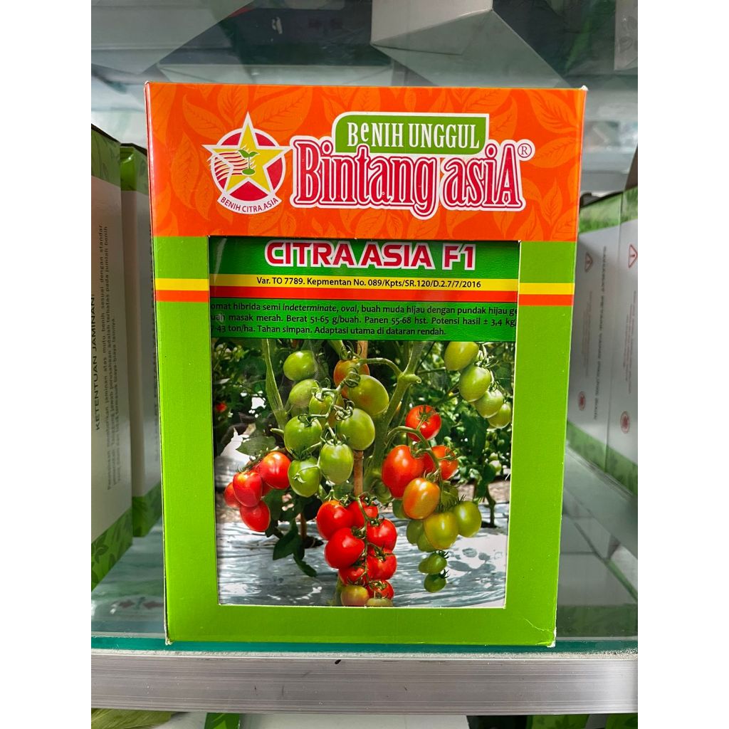 Benih Tomat Citra Asia F1 5 gram