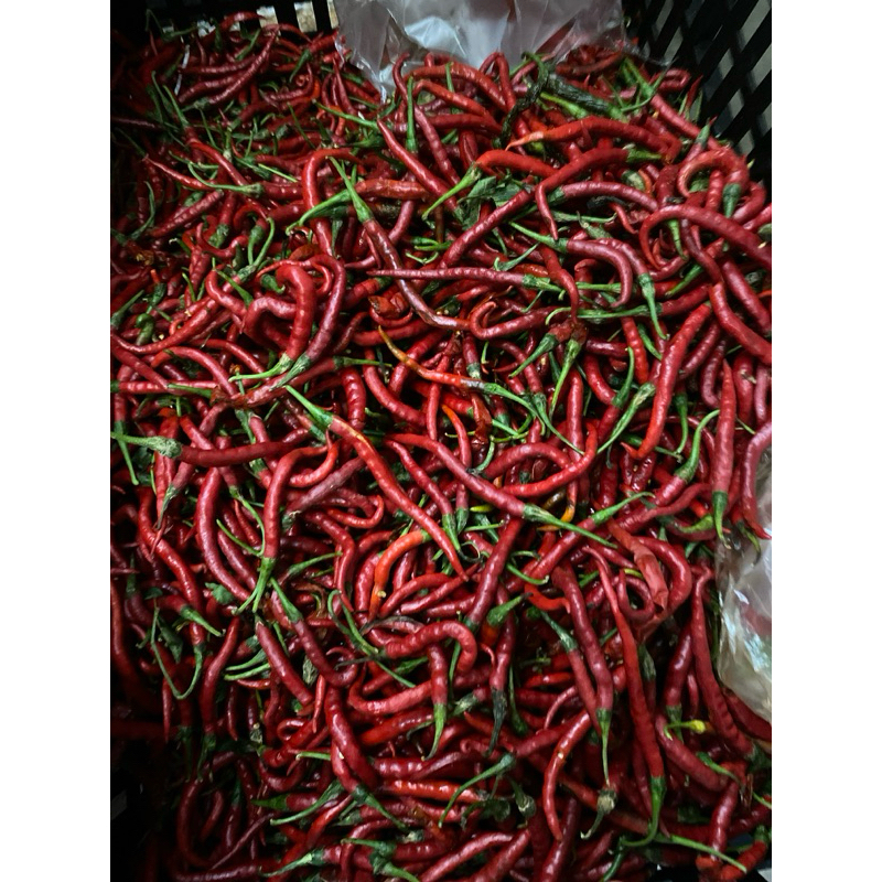 

cabe keriting kemasan 500gr