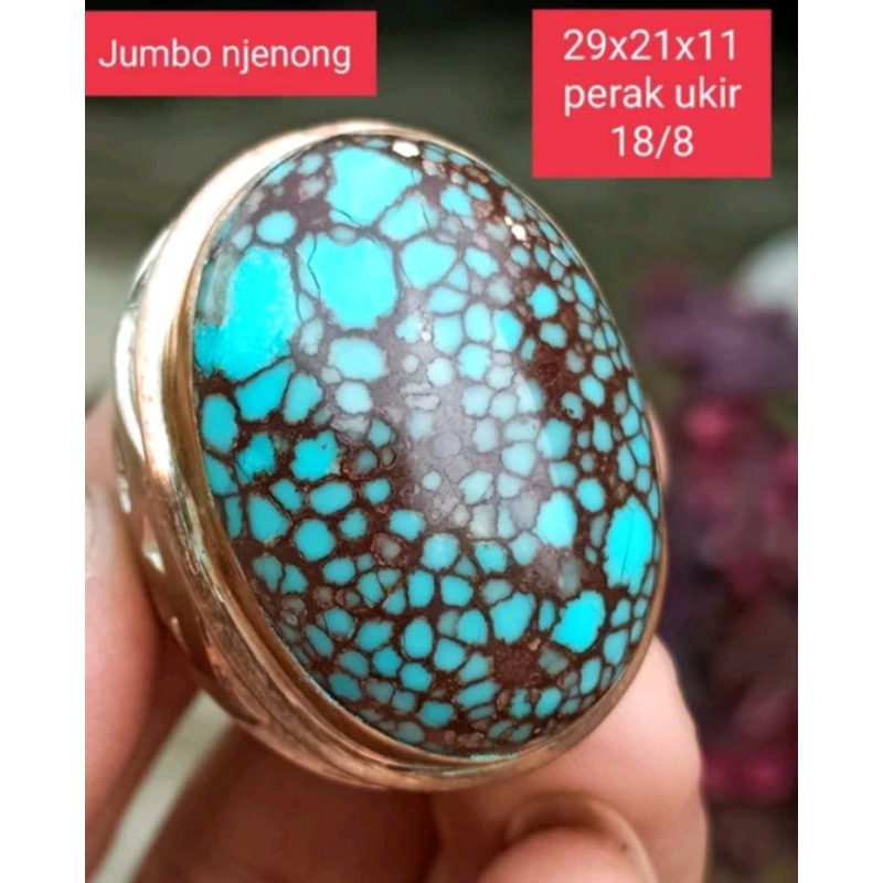 Pirus urat merah mesir beras wutah njenong