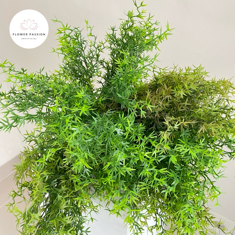 [6 Cabang] Daun Rumput Cemara Asparagus Artificial Smoke Bush Premium Dekorasi