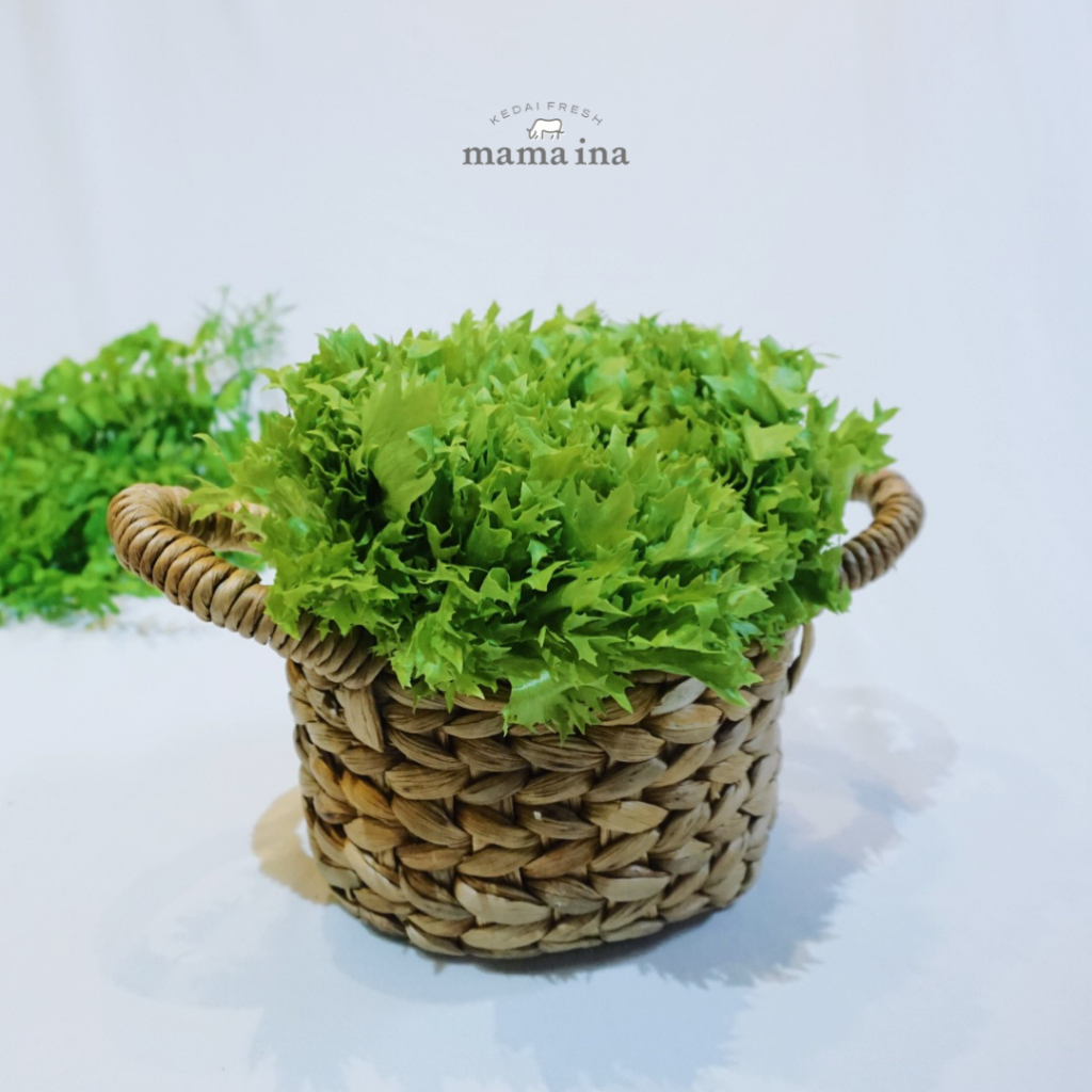 

Salanova Green Frisee 200g