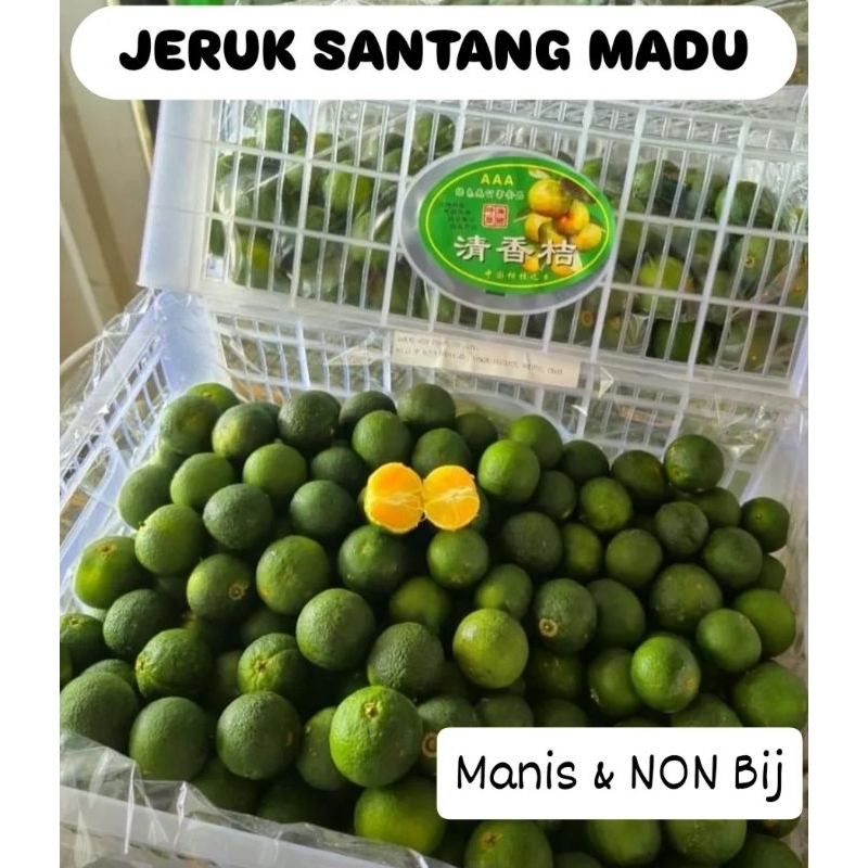 

JERUK SANTANG MADU 1 KG