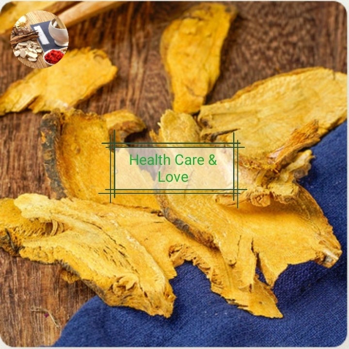 

Hu Zhang 虎仗 Rhizoma Polygoni Cuspidati Giant Knotweed Root 50 Gr