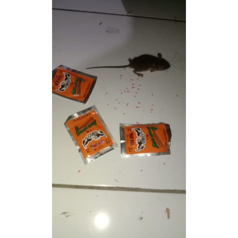 10 pcs Racun Tikus Maowang - Racun Tikus Mati Kering - Racun Tikus Mati Ditempat - Racun Tikus Terla