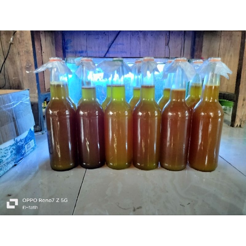 

madu hatan apis cerana bukan ternak