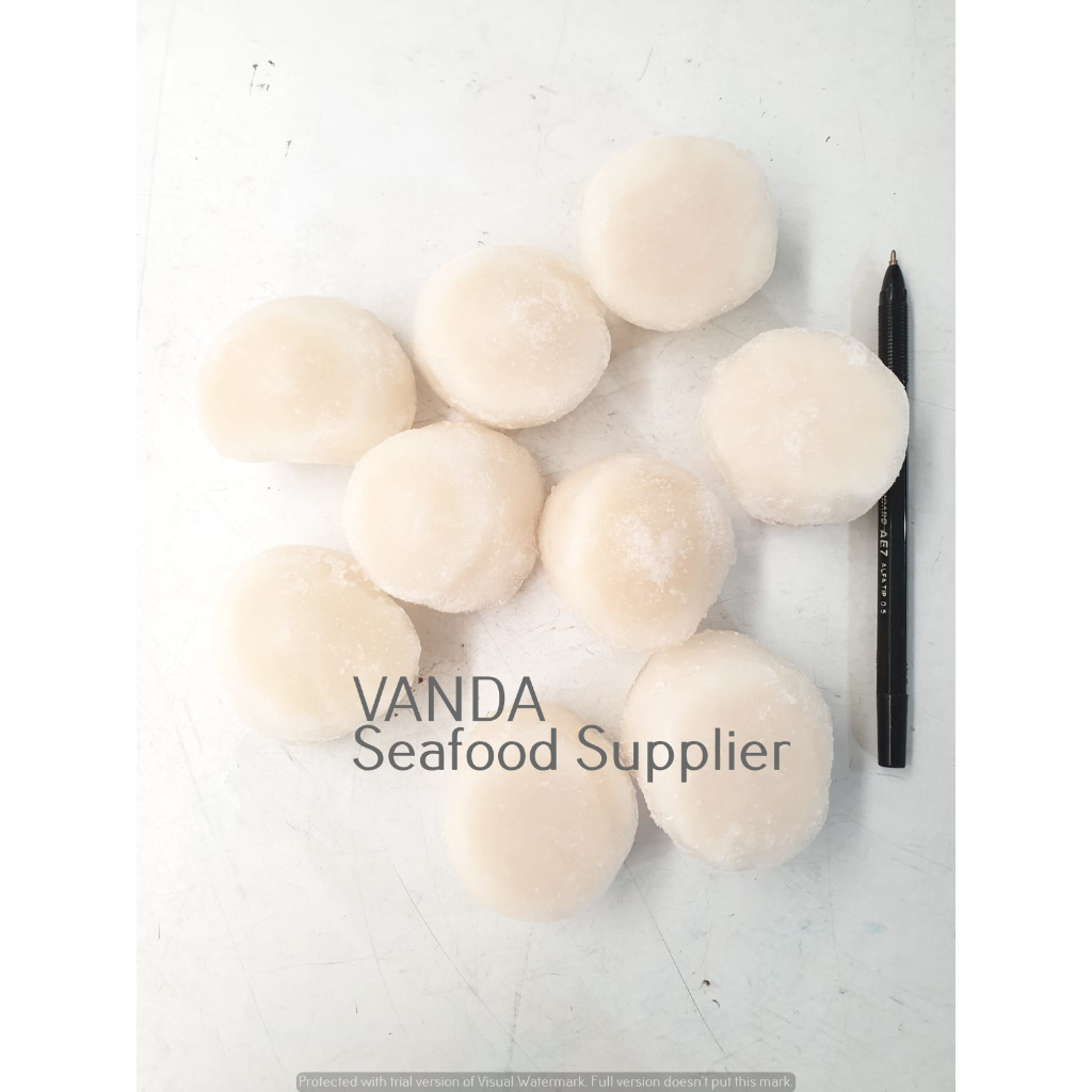 

RB Scallop USA Uk 10/20 @2,27kg / pck
