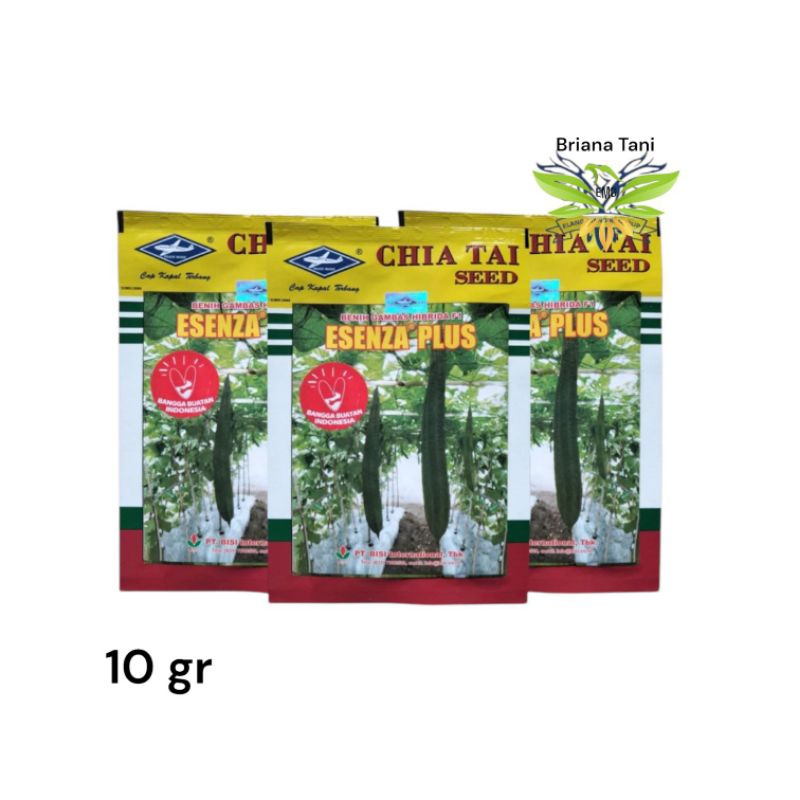 ￼Esenza Plus 10gr Benih Oyong Gambas Hibrida Kapal Terbang Azura