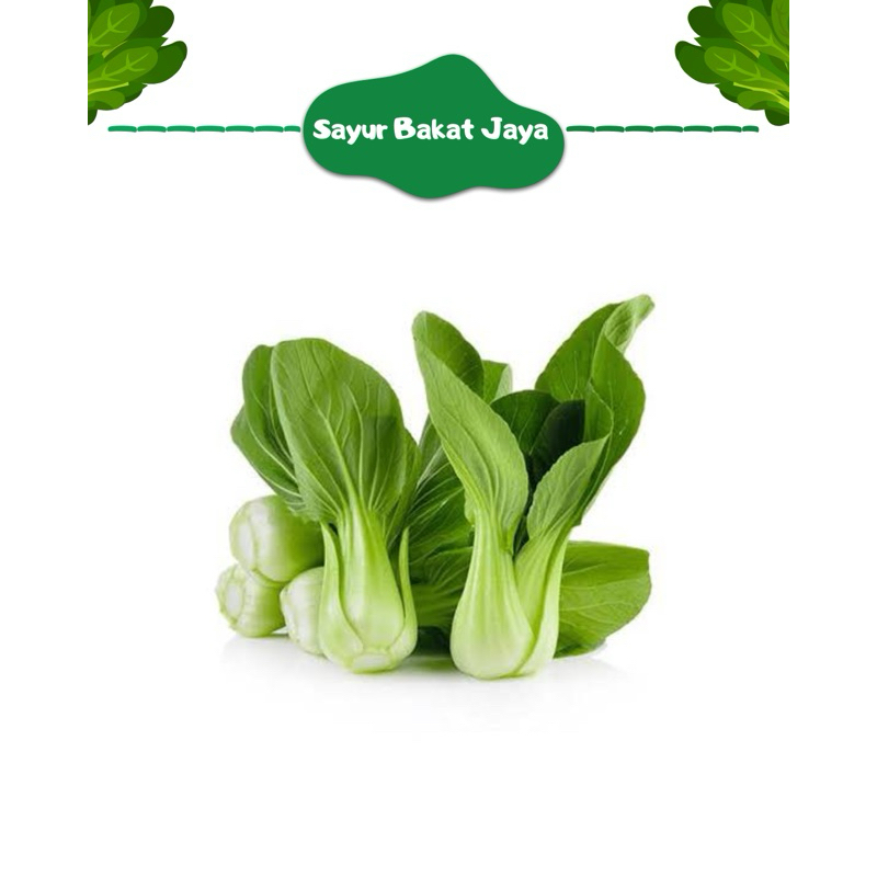 

POPCOY / SAWI DAGING 250gr