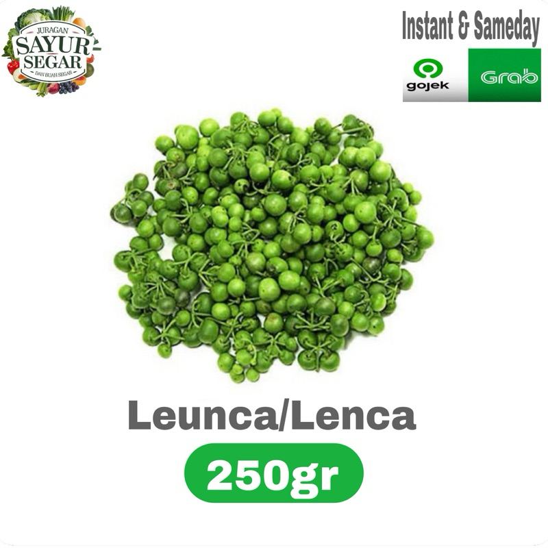 

LEUNCA/LENCA 250gr murah INSTAN