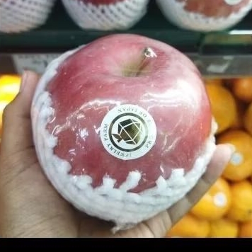 

Buah apel fuji jepang hirosaki premium 1 kg