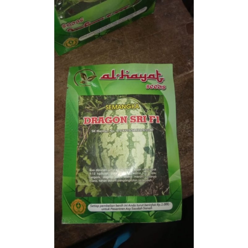 Bibit semangka dragon sri F1